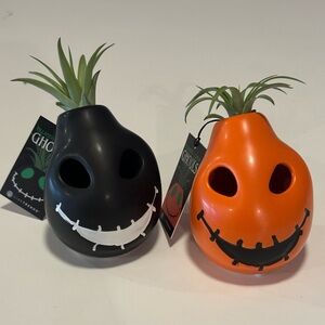 New! Light up planter ghouls / black and orange / succulent holding